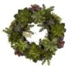 20" Green Succulent Wreath