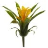 Yellow Bromeliad Flower, 6ct.
