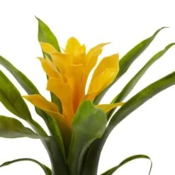 Yellow Bromeliad Flower, 6ct. 8 Yellow Bromeliad Flower, 6ct. -Michaels Shop D262202S 3