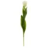 White Tulip Flower Stem, 8ct.
