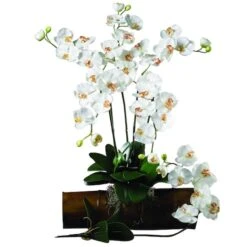 White Moth Orchid Stem, 12ct. -Michaels Shop D262207S 2