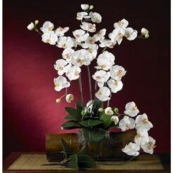 White Moth Orchid Stem, 12ct. -Michaels Shop D262207S 3