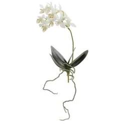 White Mini Moth Orchid Stem, 6ct. -Michaels Shop D262228S 1 1