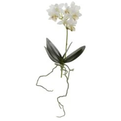 White Mini Moth Orchid Stem, 6ct. -Michaels Shop D262228S 2