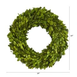 14'' Green Preserved Boxwood Wreath 7 14'' Green Preserved Boxwood Wreath -Michaels Shop D262258S 12