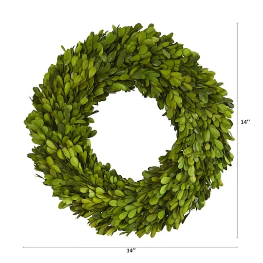14'' Green Preserved Boxwood Wreath 3 14'' Green Preserved Boxwood Wreath - Image 3