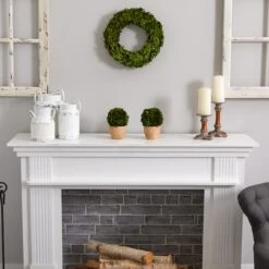 14'' Green Preserved Boxwood Wreath 9 14'' Green Preserved Boxwood Wreath -Michaels Shop D262258S 14