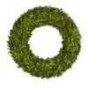24" Green Preserved Boxwood Wreath