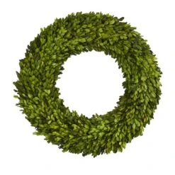 24" Green Preserved Boxwood Wreath