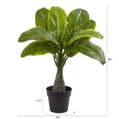 16" Potted Mini Banana Plant 6 16" Potted Mini Banana Plant -Michaels Shop D262324S 2