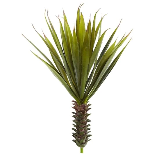 Green Spiky Agave Succulent, 2ct. 2 Green Spiky Agave Succulent, 2ct. - Image 2