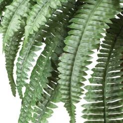 2.5ft. Boston Fern In Wood Vase -Michaels Shop D262481S 12