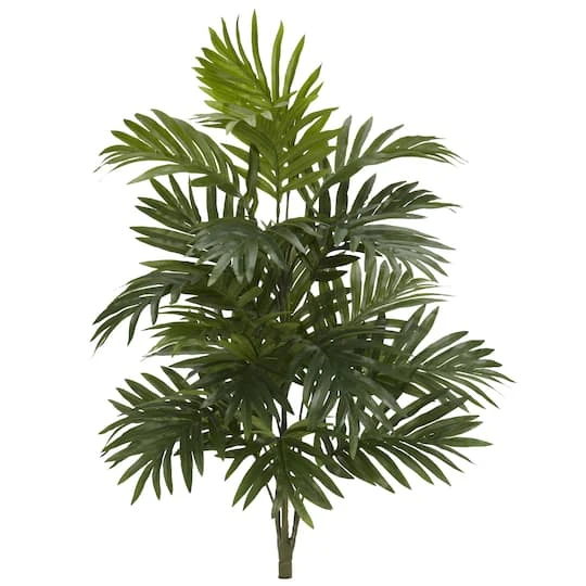 30" Areca Palm Plant, 3ct. 2 30" Areca Palm Plant, 3ct. - Image 2
