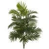 30" Areca Palm Plant, 3ct.