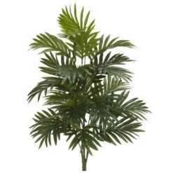 30" Areca Palm Plant, 3ct.