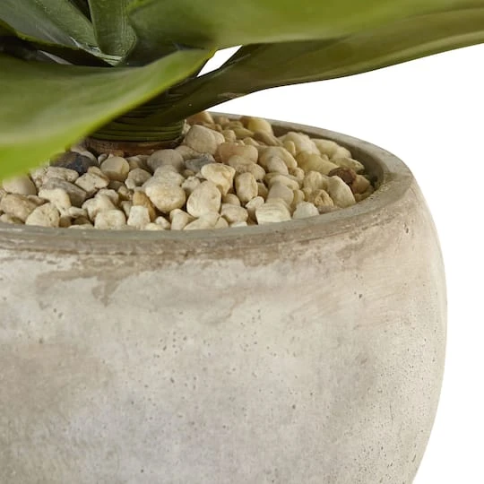 24" Agave Plant In Sand Planter 5 24" Agave Plant In Sand Planter - Image 5