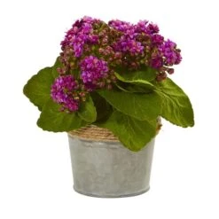 9" Kalanchoe Arrangement In Decorative Pot, 3ct. -Michaels Shop D262522S 3