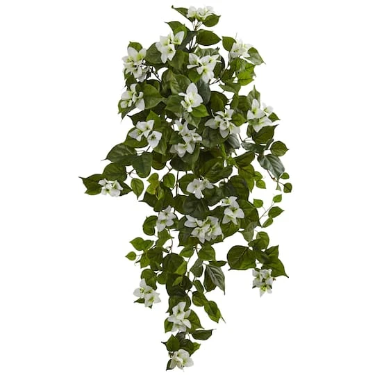 37" Bougainvillea Hanging Plant, 2ct. 1 37" Bougainvillea Hanging Plant, 2ct.