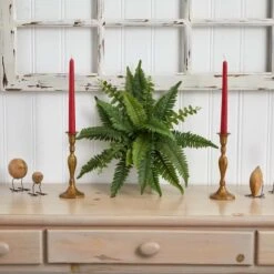 Boston Fern, 6ct. -Michaels Shop D262533S 13