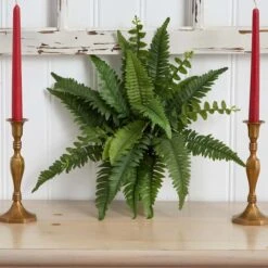 Boston Fern, 6ct. -Michaels Shop D262533S 14