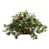 16" Hoya In Decorative Planter