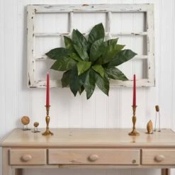 22" Bird's Nest Fern Plant, 3ct. -Michaels Shop D262560S 12