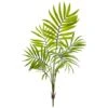 Mini Areca Palm Bushes