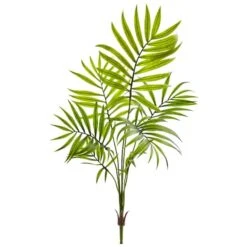 Mini Areca Palm Bushes