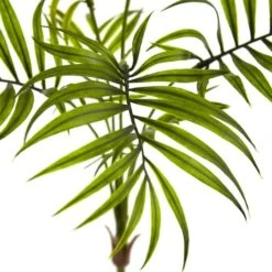 Mini Areca Palm Bushes -Michaels Shop D262570S 2