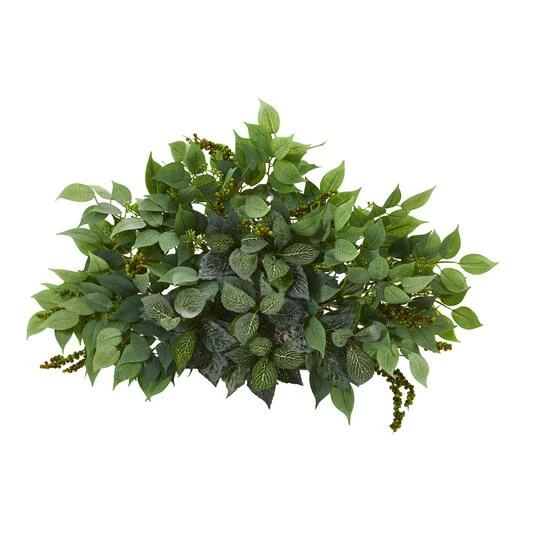 20'' Mixed Ficus & Fittonia Ledge Plant 1 20'' Mixed Ficus & Fittonia Ledge Plant