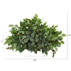 20'' Mixed Ficus & Fittonia Ledge Plant 7 20'' Mixed Ficus & Fittonia Ledge Plant -Michaels Shop D262583S 12