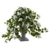 2ft. White Bougainvillea Flowering Plant With Decorative Urn