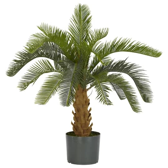 2.5ft. Potted Cycas Tree 2 2.5ft. Potted Cycas Tree - Image 2