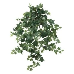 3.5ft. Puff Ivy Hanging Plant, 2ct.