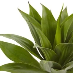 Green Large Agave Pick -Michaels Shop D262650S 15