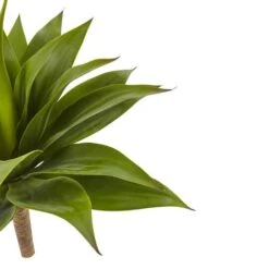 Green Large Agave Pick -Michaels Shop D262650S 16