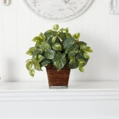17" Pothos In Coiled Rope Planter 6 17" Pothos In Coiled Rope Planter -Michaels Shop D262668S 12