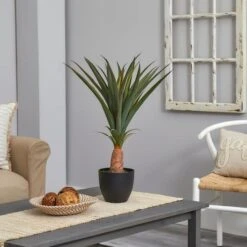 2.5ft. Agave In Black Planter -Michaels Shop D262725S 13