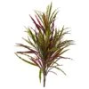 2ft. Fall Vanilla Grass Plant, 3ct.