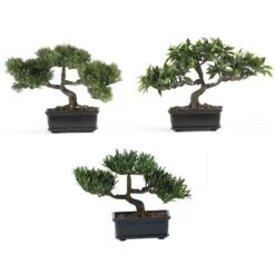 8.5" Bonsai Collection, 3ct.