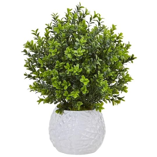17" Boxwood In White Vase 1 17" Boxwood In White Vase