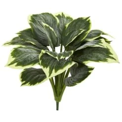 Variegated Hosta, 6ct. 5 Variegated Hosta, 6ct. -Michaels Shop D262756S 2