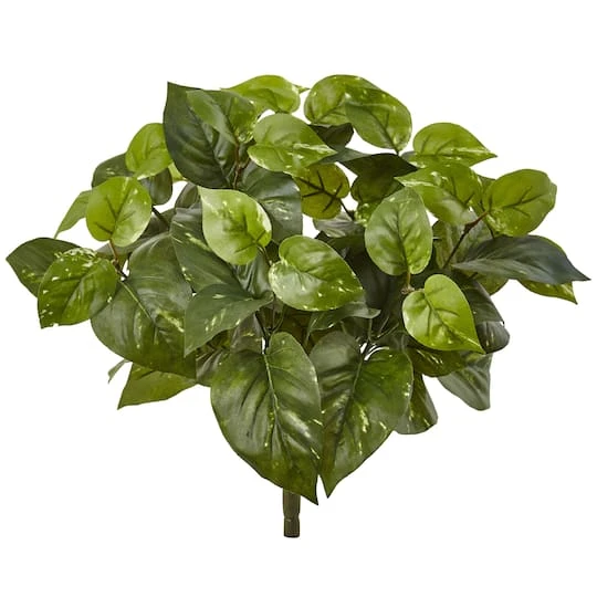 16" Pothos Bush, 6ct. 2 16" Pothos Bush, 6ct. - Image 2