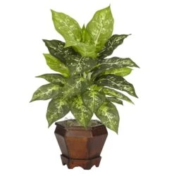 20.5" Assorted Dieffenbachia In Wood Vase, 2ct. 9 20.5" Assorted Dieffenbachia In Wood Vase, 2ct. -Michaels Shop D262779S 13