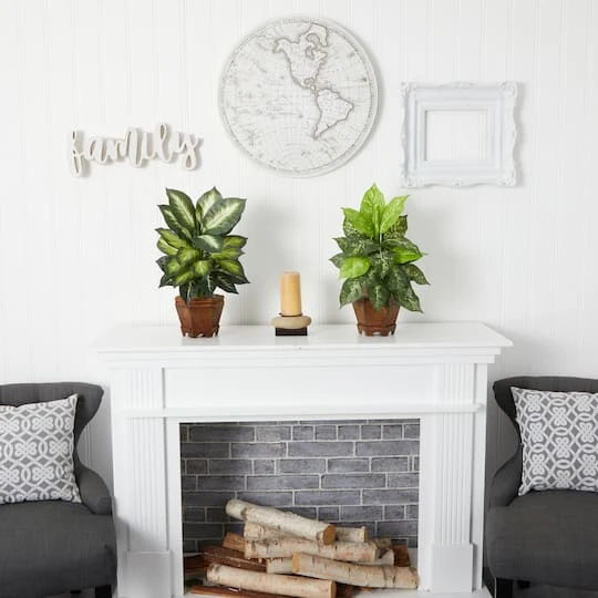 20.5" Assorted Dieffenbachia In Wood Vase, 2ct. 6 20.5" Assorted Dieffenbachia In Wood Vase, 2ct. - Image 6