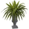 2.5ft. Birdsnest Fern With Urn