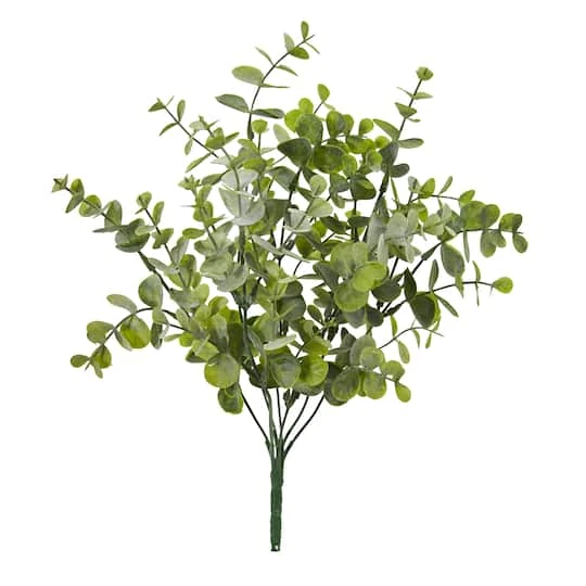 Eucalyptus Pick, 24ct. 1 Eucalyptus Pick, 24ct.