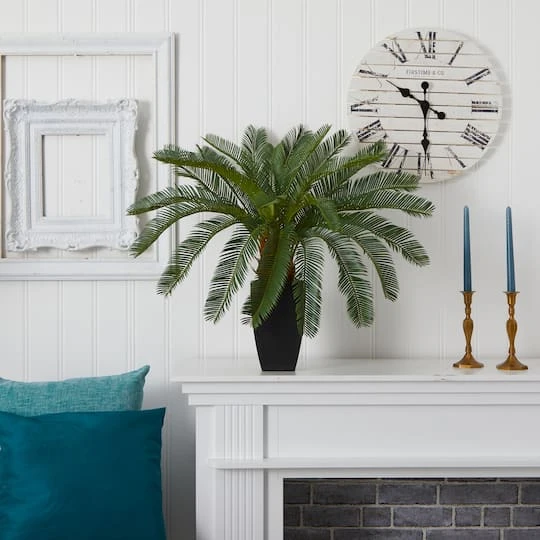 2.5ft. Cycas In Black Planter 4 2.5ft. Cycas In Black Planter - Image 4