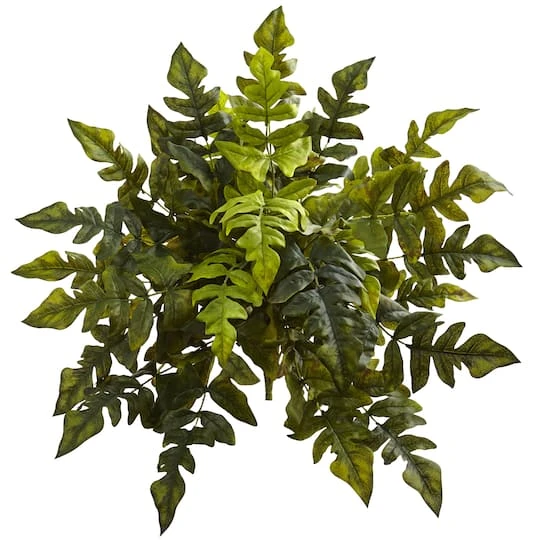 24in. Holly Fern Plant, 2ct. 2 24in. Holly Fern Plant, 2ct. - Image 2