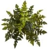 24in. Holly Fern Plant, 2ct.